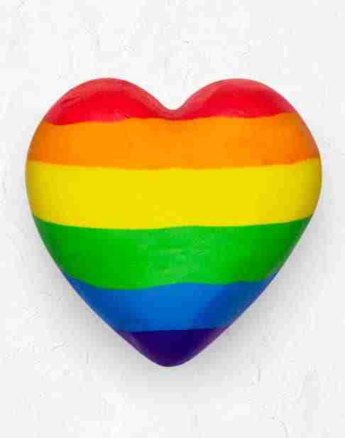 lgbtqi heart sreerekha
